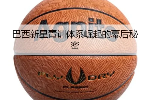 ba-xi-xin-xing-qing-xun-ti-xi-jue-qi-de-mu-hou-mi-mi-2-900.jpg